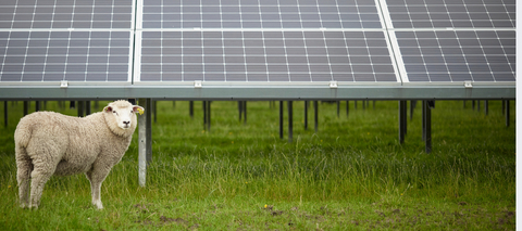 Newly approved 600MW solar farm in Central-West NSW to power over 260,000 homes