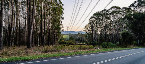 Hunter region businesses invited to register interest in Hunter Transmission Project