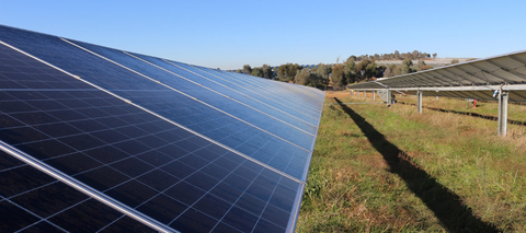 Proposed Hunter Valley Solar Farm scaled down following community input