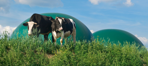 Jemena and Valorify partner to brew biomethane production in NSW